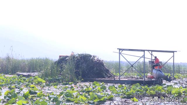 「节日我在岗」坚守岗位 只为异龙湖水清岸绿景美