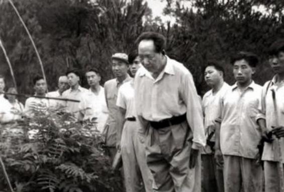 57年田云玉收到母亲病重电报，回家发现有假，毛主席：你还太年轻