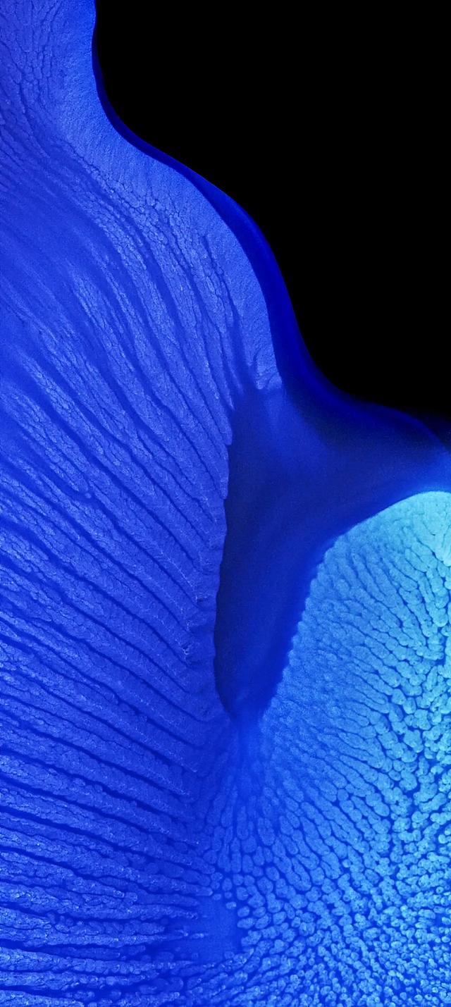 “OPPO Reno7 5G系列”手机内置高清壁纸