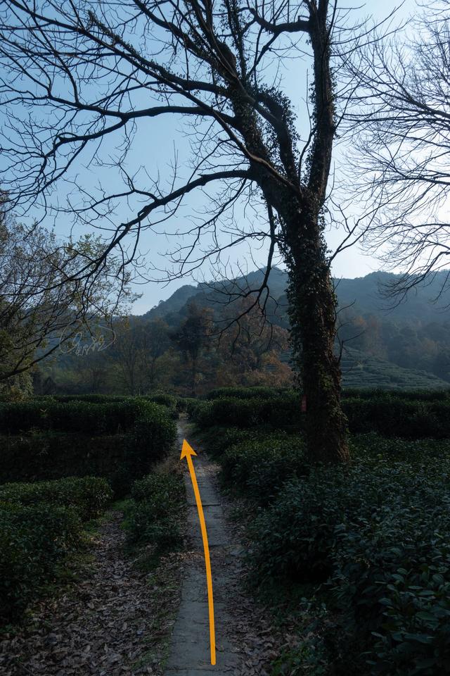 杭州登山徒步路線17：野路有趣，但不建議盲目去爬