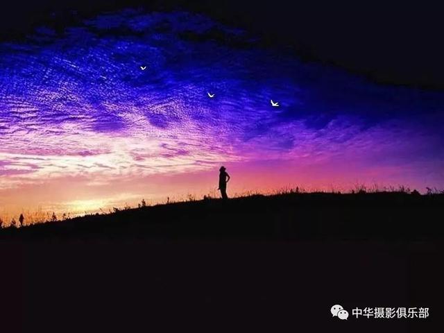 太美了！金奖摄影作品欣赏——