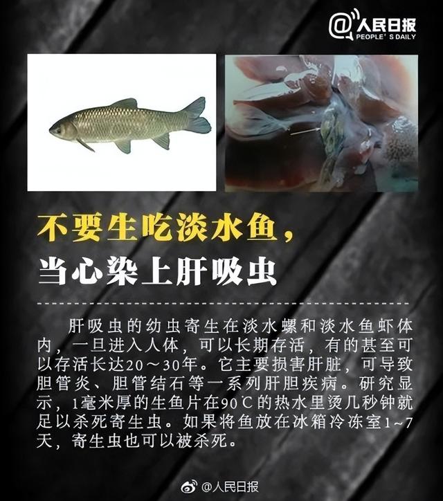 千万别碰！福寿螺体内寄生虫多达6000条