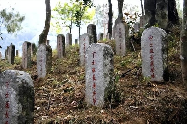 孙春龙寻找的究竟是架怎样的飞机？中航60号：80年前驼峰航线坠毁
