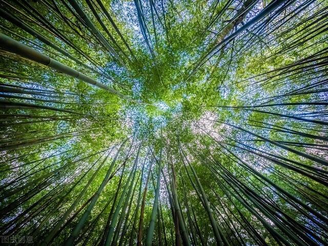 怨苍天变了心