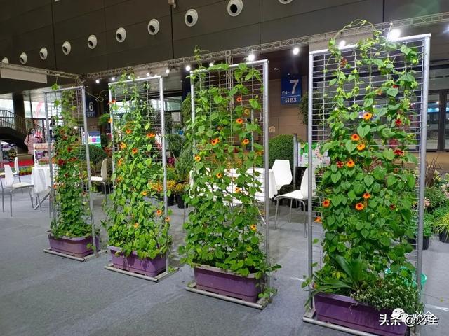 进口园林机械展