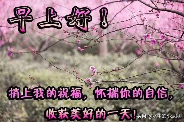 适合04月24日发微信朋友圈的早安句子