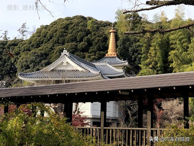 德村志成：落葉殘楓依然美麗，久違北小金本土寺