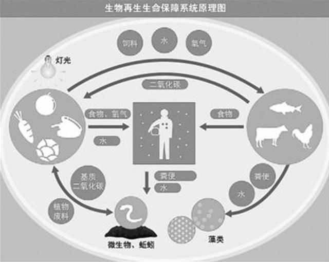 4男4女曾进行封闭空间实验，却发现，我们一直被“困”在地球？