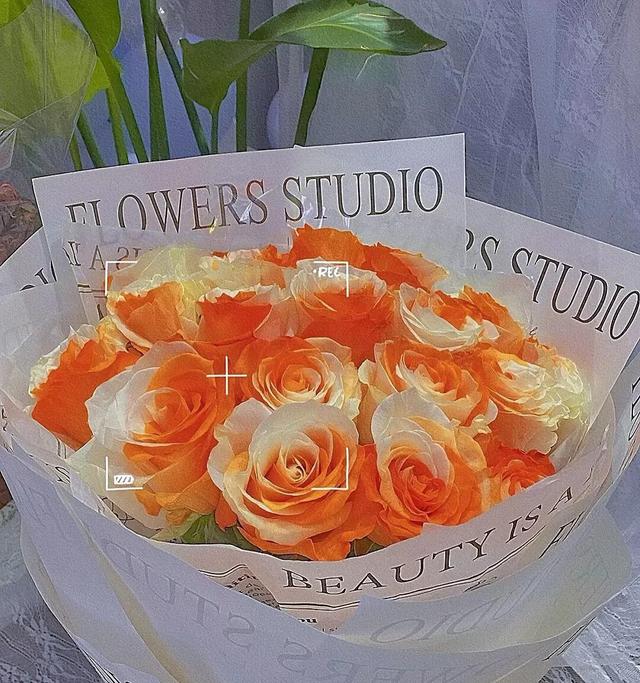 花是蓬勃的期许，是生命的礼遇，是春天的信使