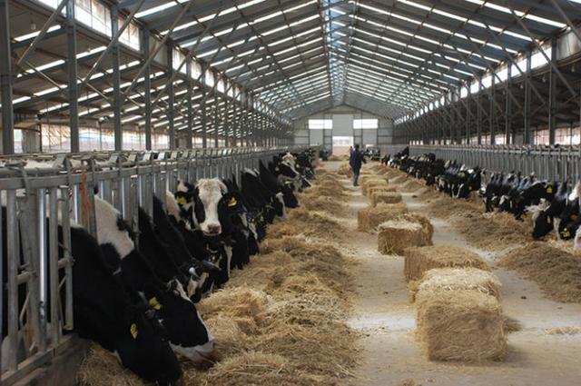 “养牛状元”56岁踏足房地产，跃升燕郊首富，隐退后孙子被撞身亡