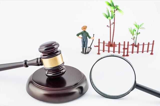 两会重磅！耕地“非粮化”种了别的？不能简单粗暴全砍了