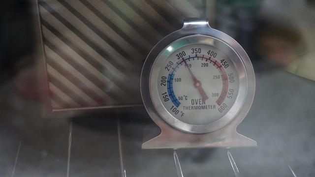 为什么更爱风炉烤箱？长帝大白鲸F40烤箱评测体验