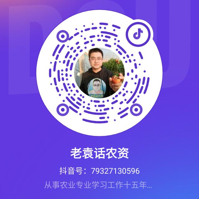 白菜得了“霜霉病”怎么办？三点管理办法，保产保收5