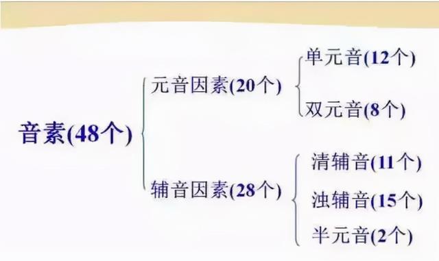 英语老师直言：掌握好这些音标知识，孩子轻松学会英语发音