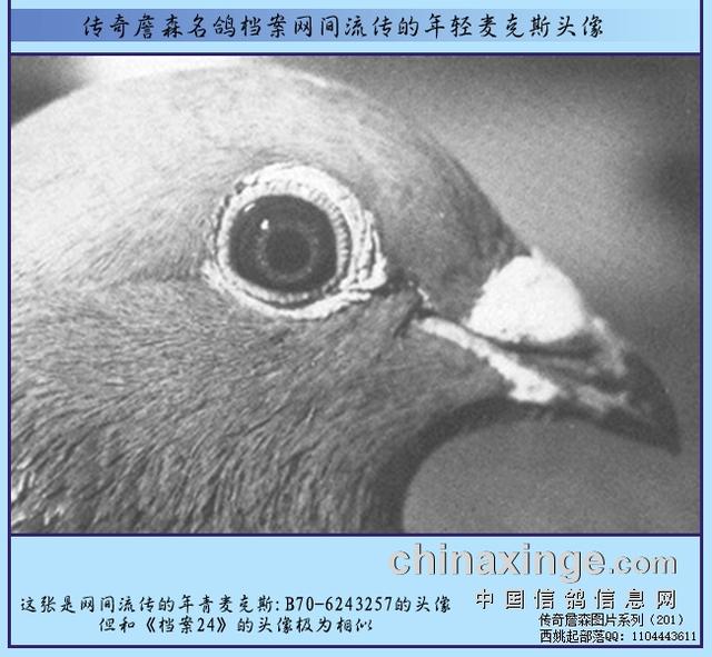 邢台华普机械制砂机