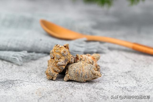 讲一味三七，细数其6大功效，4个细节，原来贵有贵的道理