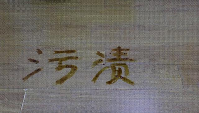 聪明听话又好用！科沃斯地宝T10 TURBO AI智能扫拖机器人深度体验