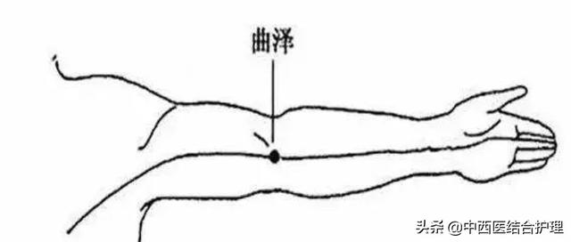 「经络养生科普」十二经筋/经络之手厥阴（心包）筋经