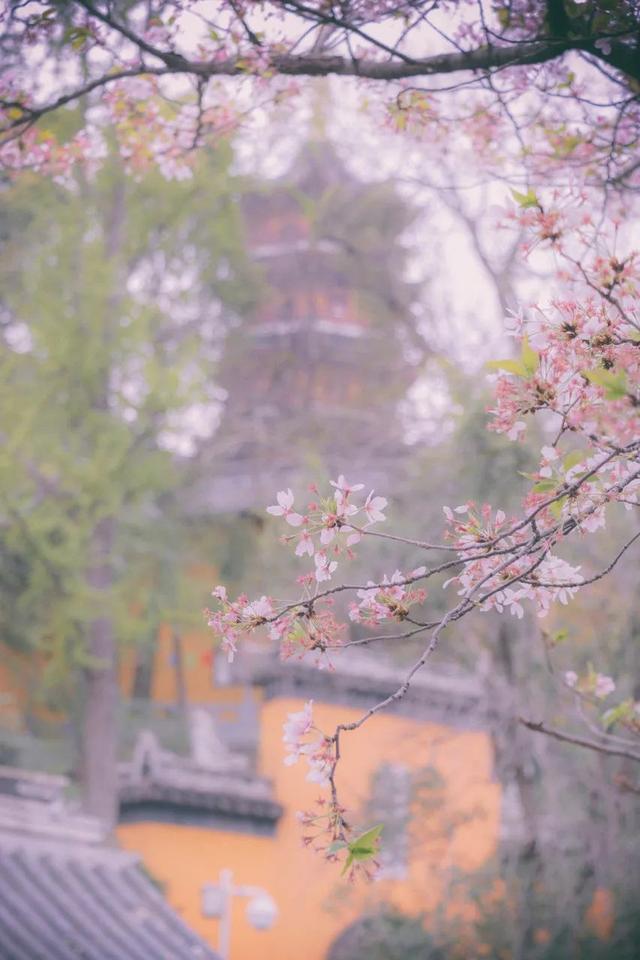 既有悠悠曆史，又有俗世煙火，來南京看看吧