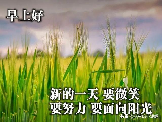 励志的正能量说说、心灵鸡汤励志语录短句子