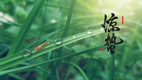 散文：惊蛰，春雷始鸣，淡美人生岁月