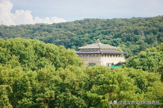 你好，珞珈山的夏天……