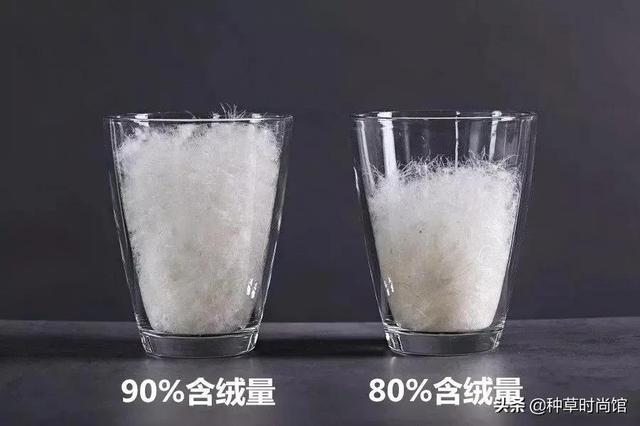 羽绒服图片