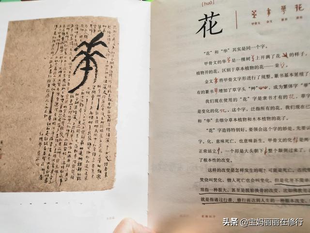 孩子识字，从汉字文化学起还是在量上努力？前者更符合大语文要求