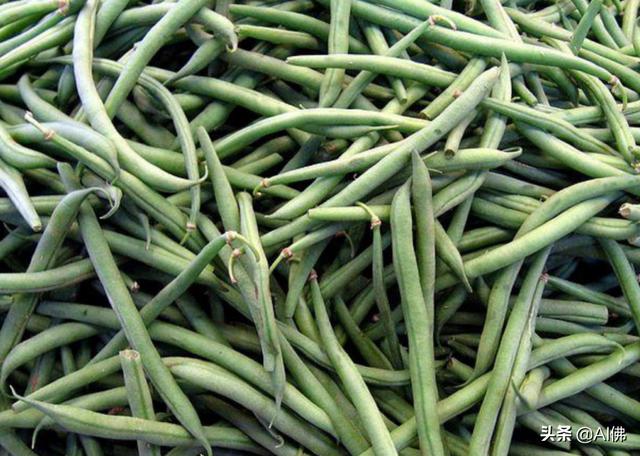 美国人平均一年吃多少食物