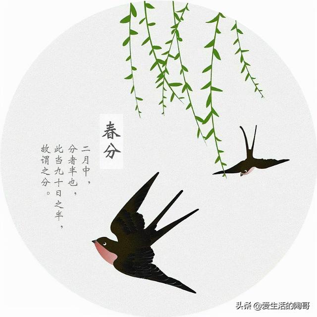 春分到，吃2春菜，食2春果，喝2春茶，做2春事，健康快乐过春天