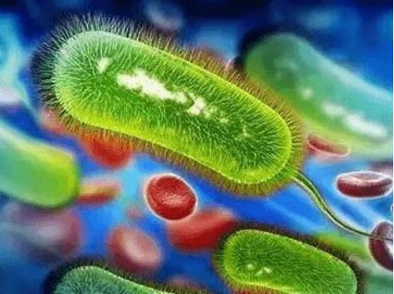 奥美拉唑、兰索拉唑、泮托拉唑、雷贝拉唑有何区别？哪个作用最好