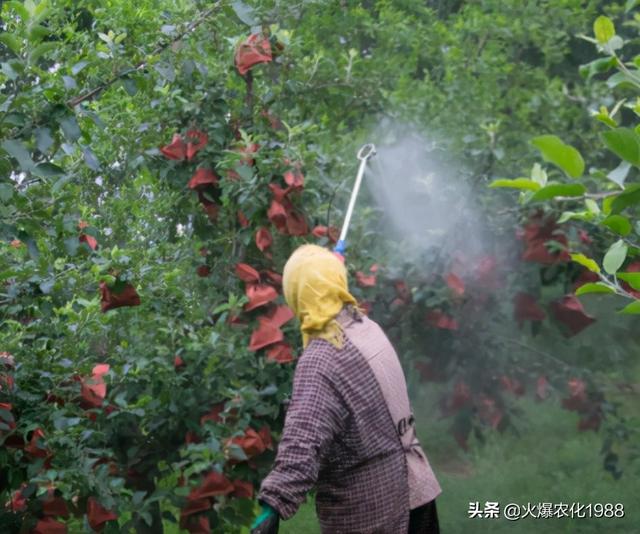 三四月份果园该如何管理？怎样科学施肥？全部都为你总结好了3