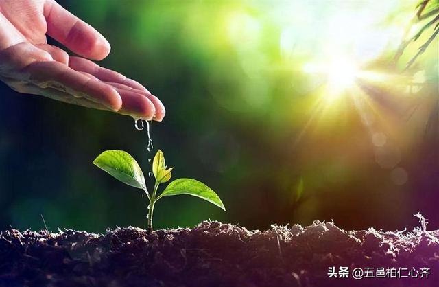 别怨自己命不好，天道酬勤、厚德载物，坚守自己的内心德行天下