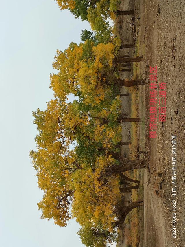 西行漫記之10月5日內蒙古篇