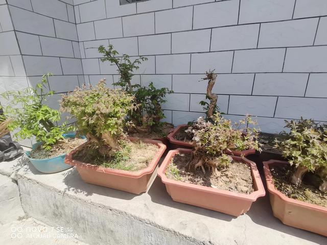 春天的邀约