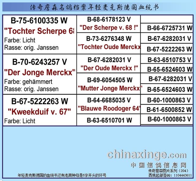 019是哪里的区号