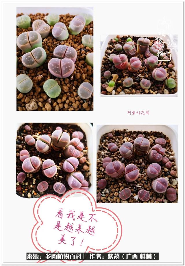 郑州新型泥土洗砂机