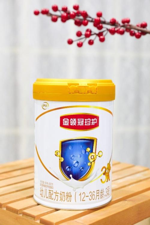 婴儿奶粉品牌排行榜