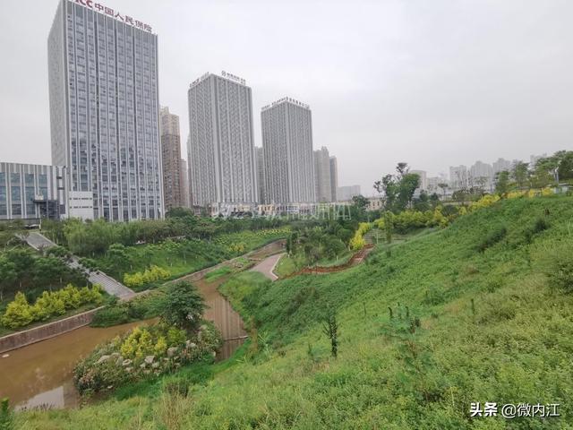 绿化工程公司五年发展规划