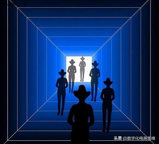 谈一下章鱼和数字化之间的关系，感觉到很神奇