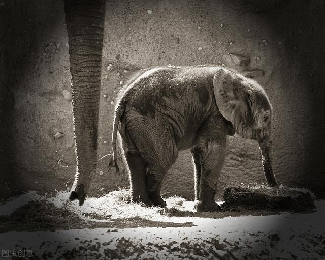 真正的贫乏是迷失在无知之幕与试错之堑的前面 新闻时间