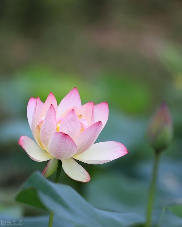强争总是没有什么好结果，这是戚夫人带来的启示
