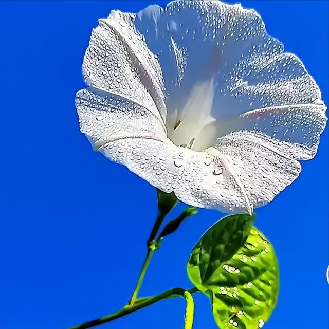 朋友圈很流行的句子，励志阳光，文采飞扬