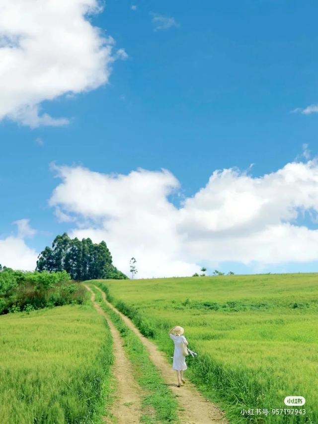 成都周边旅游景点