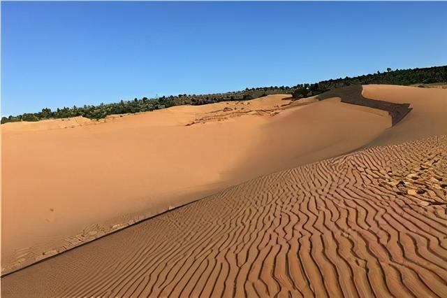 印度遇122年来最强热浪！科学家透露坏消息：地球未来或不再宜居