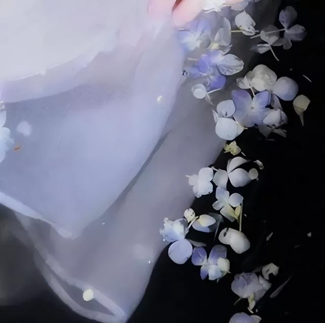 有一种素质，叫尊重