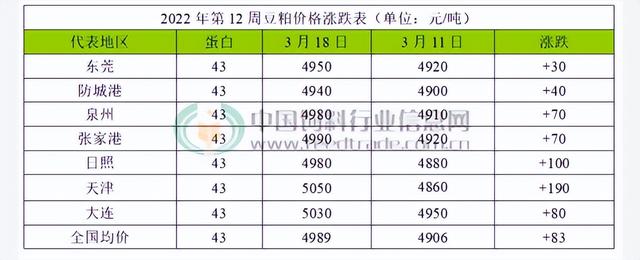 猪饲料比大米还贵，中国人还能“吃肉自由”吗？