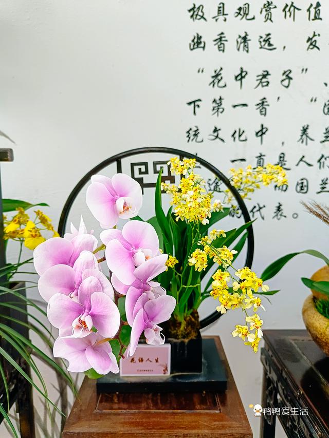 2019厦门机械展在几号
