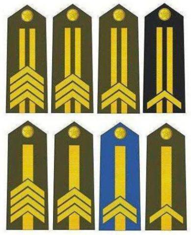 中国的军衔等级及标志（最新中国的军衔等级及标志）