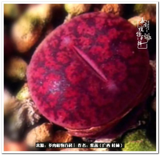 桂林滚筒式洗砂机厂家